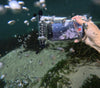 take clear photos underwater in the clearwater case